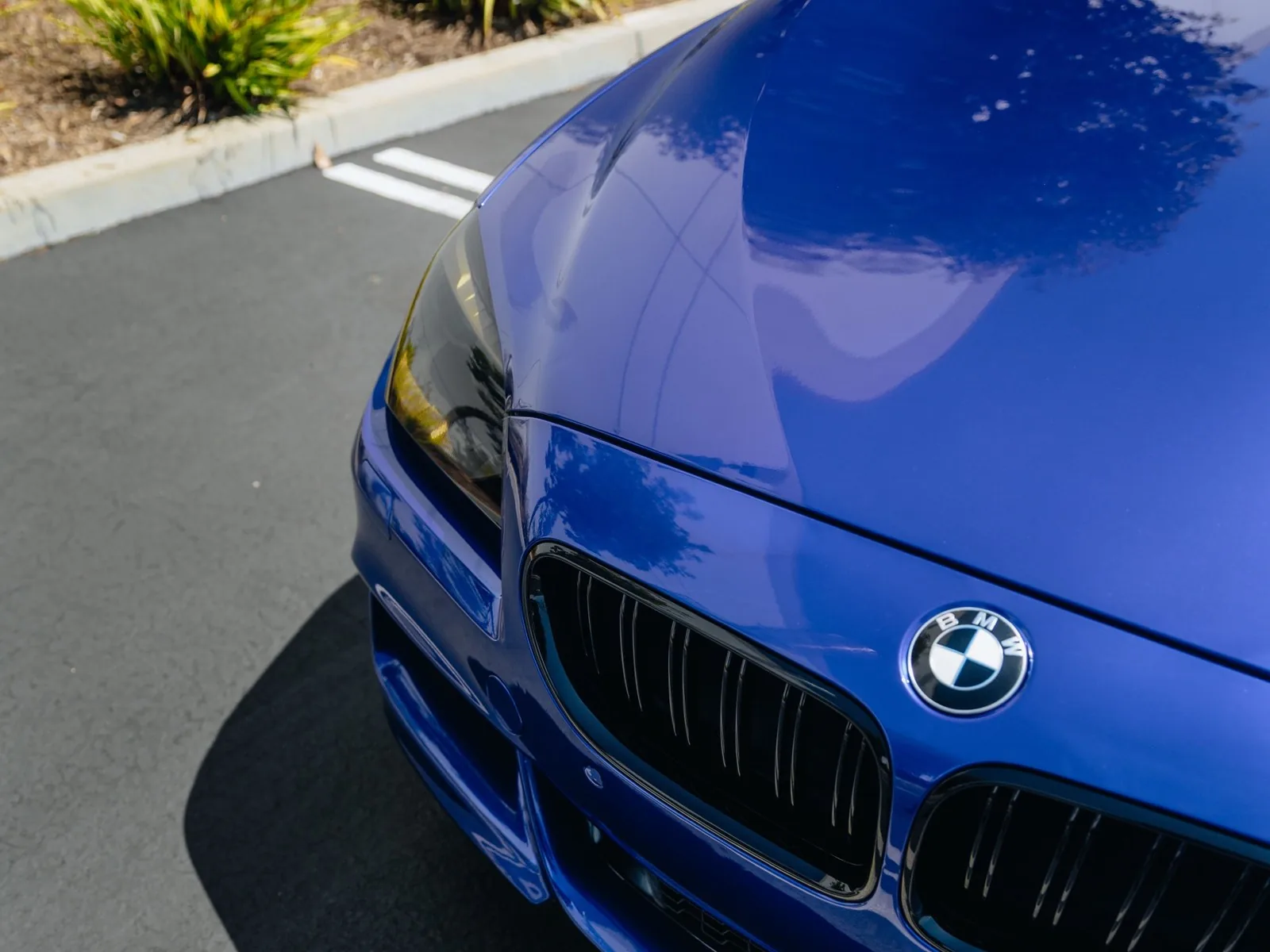 BMW 6 Series Vinyl Wrap, Door Jambs, Smoked Headlights, Ceramic Coating — photo 5 — Hussle Customz Los Angeles