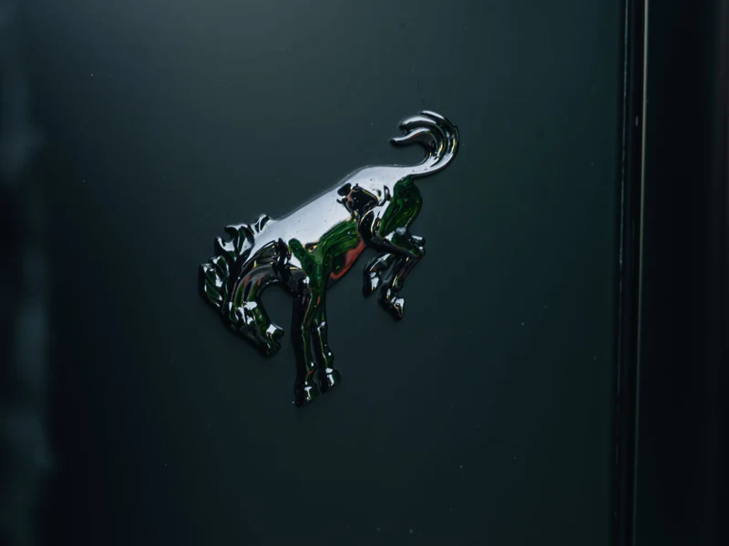 Ford Bronco Satin Black Wrap with Ceramic Armor — photo 5 — Hussle Customz Los Angeles