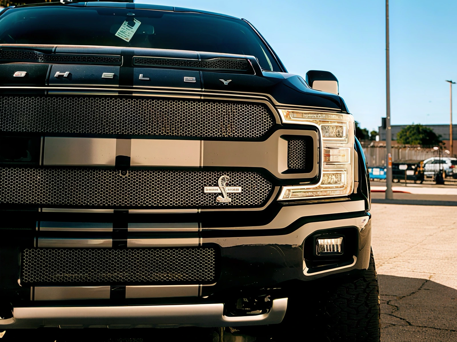 Ford Shelby GT500 PPF — photo 3 — Hussle Customz Los Angeles