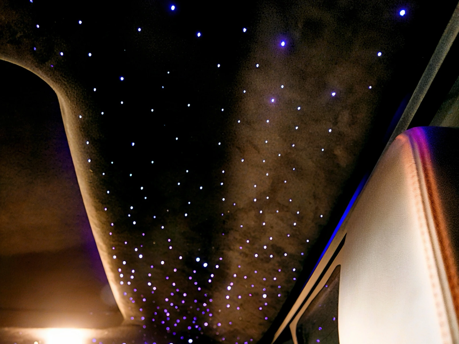 Ford Shelby GT500 PPF — photo 4 — Hussle Customz Los Angeles