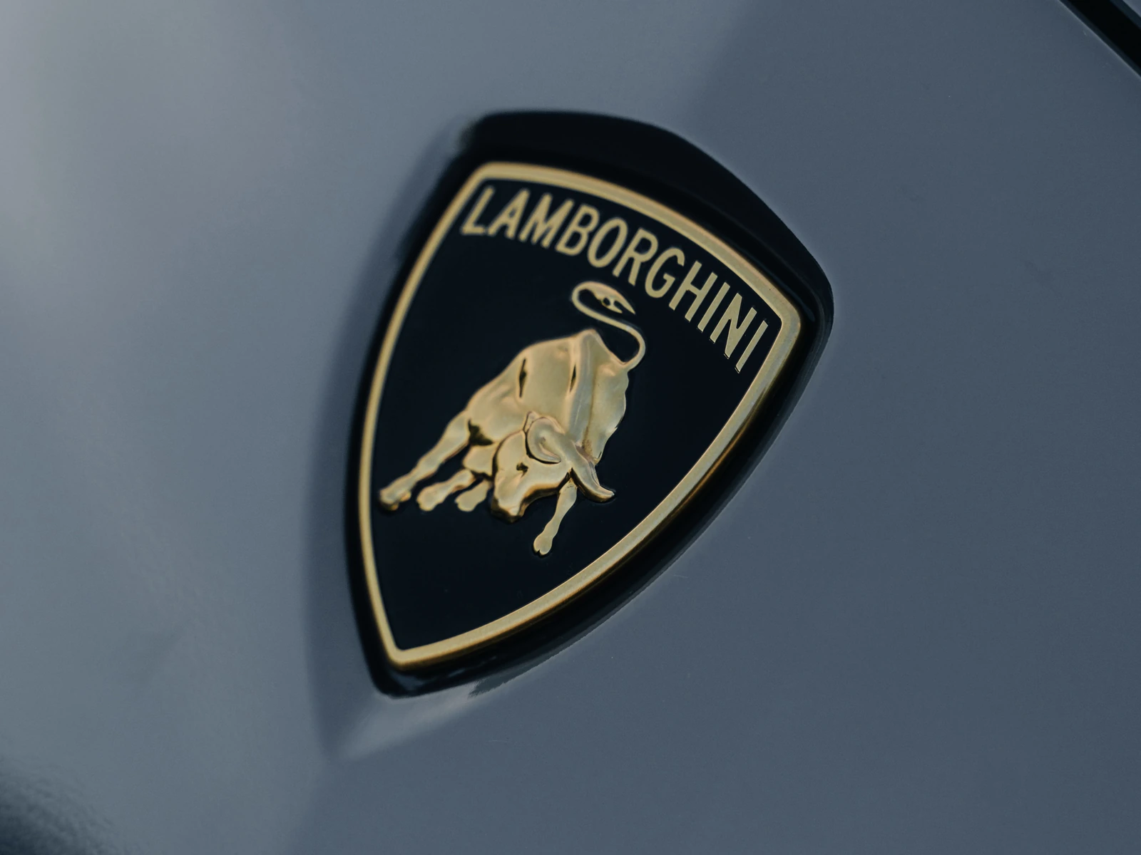 Lamborghini Urus Vinyl Wrap — photo 5 — Hussle Customz Los Angeles