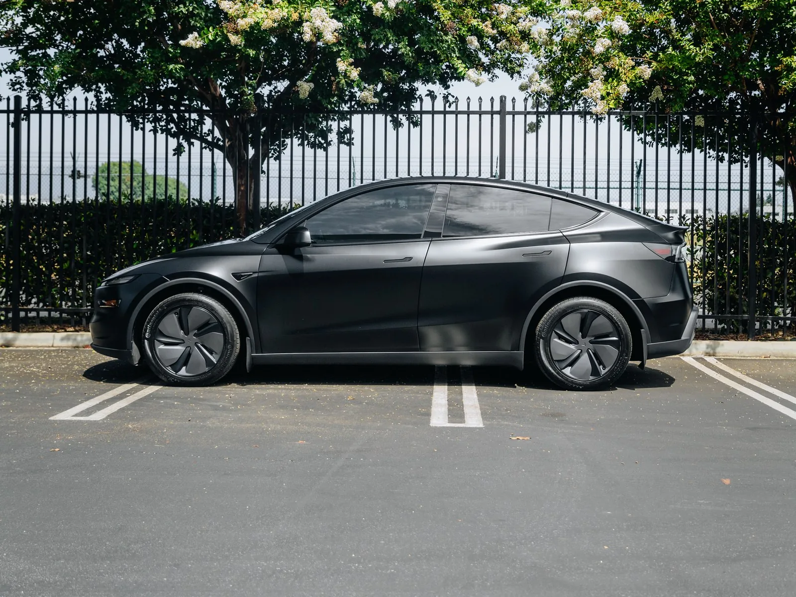 Tesla Model Y Juniper Diamond Black Matte PPF, Ceramic Tint, Ceramic Coating — photo 3 — Hussle Customz Los Angeles